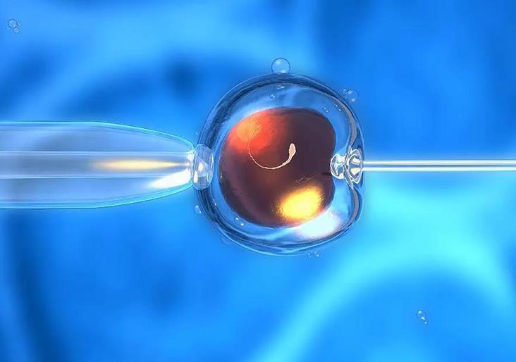 4cb和5cb囊胚的质量如何？属于一般还是差？
