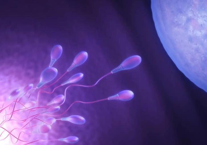 三代试管中3个囊胚做pgs筛查最终可以通过几个呢？