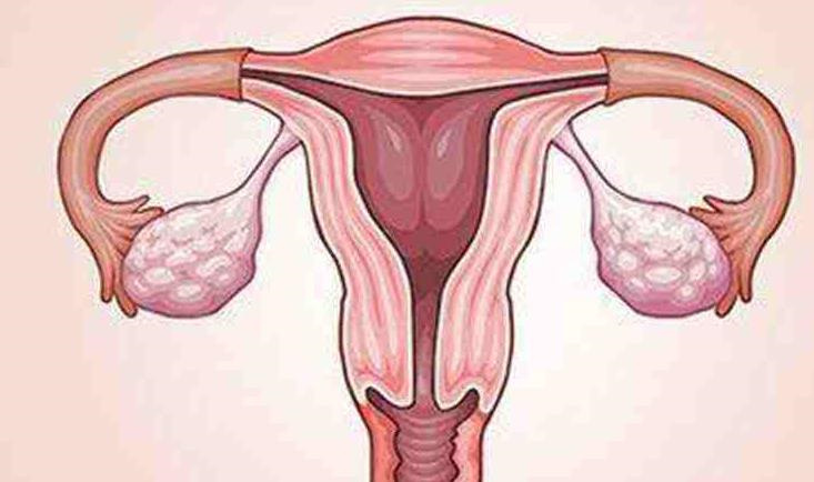 女性绝经还能做试管吗 做供卵试管胚胎移植多次失败怎么办？