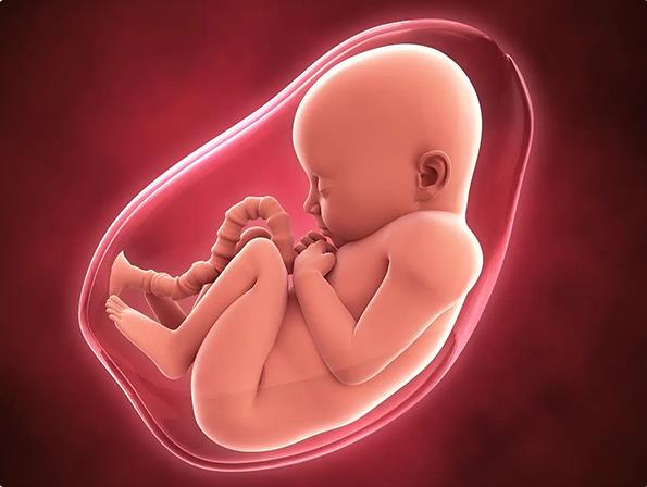 西安三代试管婴儿医院排名，附试管助孕机构成功率一览！ 
