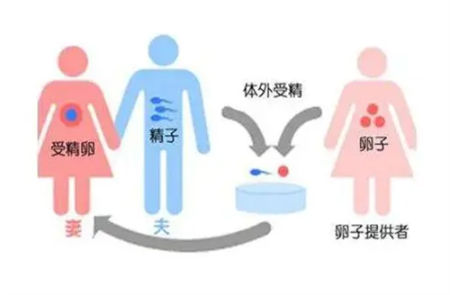 上海仁济北院最好的试管医生有哪些？上海三代试管婴儿多少钱?