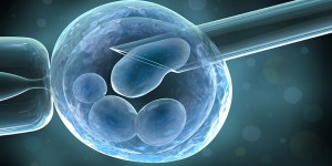女性卵巢早衰还能排出健康成熟的卵子吗，分三个阶段来定