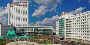 2022辽宁供卵试管婴儿医院排名，附供卵三代试管成功率和费用一览