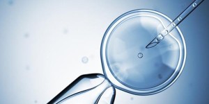 高龄女性卵巢amh值低没有卵子做供卵试管能成功吗？