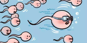 取精怎么操作的？精子优选是怎么个操作过程？