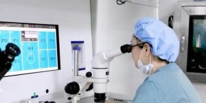 2025年试管婴儿过程中最关心的15个常见问题汇总