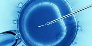 江西试管婴儿机构排行前十名（2025年江西试管婴儿机构医院排名前十名）