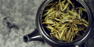 白茶有什么功效和作用？白茶的功效与作用分享
