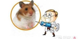 被老鼠咬了打什么疫苗好?被老鼠咬了不疫苗的危害？