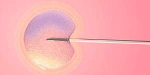 国内单身女有子宫没卵巢可以做供卵试管自怀吗？