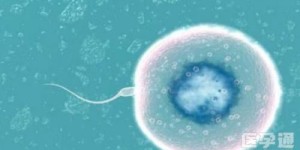 2023在安徽省妇幼做一次供卵试管婴儿费用要多少？