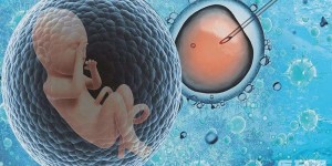 女性calr基因突变做三代试管婴儿能优化基因吗？