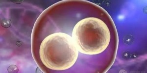 试管冻胚移植着床征兆一览，有这8大特征暗示已成功受孕