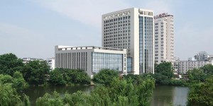 2025年最新全国十大试管婴儿医院排名附医院名单
