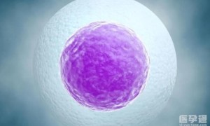 移植鲜胚着床的时间一览，出现这几种症状可能是怀孕！