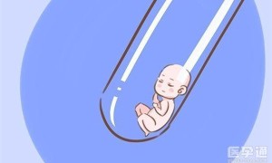 试管婴儿鲜胚和冻胚哪个男孩几率高？