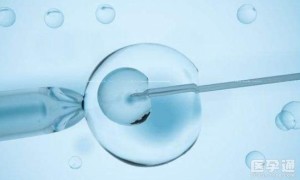 去泰国做第三代试管婴儿选胎儿性别生龙凤胎大概要多少钱？