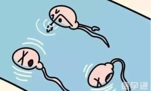 重度少精症并且活力低于30能做第三代试管婴儿选性别生育吗？