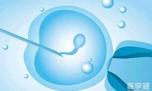 有卵巢无子宫可以取卵做试管婴儿吗？