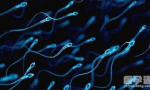 男的精子活率多少可以做试管婴儿？反正不能低于这个数