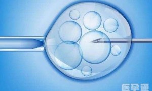 2024年国内较大助孕机构排名,附试管供卵机构一览！