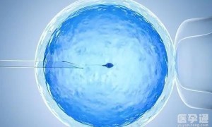 北京协和医院可以做供卵试管吗？分享供卵试管助孕流程