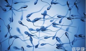 患有染色体平衡易位进行试管移植4aa囊胚，成功的概率如何？