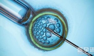 2023年在贺州市人民医院做供卵试管婴儿费用要多少？