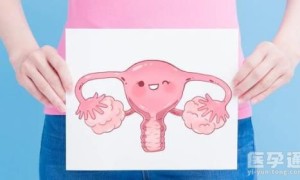 41岁卵巢早衰，邵逸夫生殖中心可以做供卵试管吗？