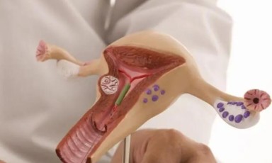 北京十大私立试管婴儿医院排名（2025北京十大私立试管婴儿医院排名）