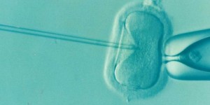 湖北试管助孕机构排名前十，附供卵试管生子医院排名？
