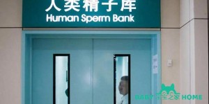2022香港精子库医院排名，附供精试管试管婴儿费用表