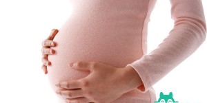 2022南方医科大学南方医院试管婴儿成功率一览，附2022助孕成功率预估表