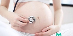 孕14周nt值1.5mm试管婴儿还是女孩的可能性大？揭秘nt值1.5mm男宝女宝可能性