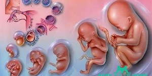 2022广西壮族自治区妇幼保健院试管婴儿费用、成功率一览
