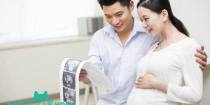 2022天门市第一人民医院试管婴儿成功率一览，附试管成功经验分享