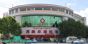 2022西藏试管婴儿医院排名，附成功率及费用介绍