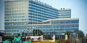 2022宁波市妇女儿童医院可以做供卵试管婴儿吗？附浙江供卵试管婴儿医院排名