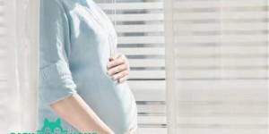 2022中山市博爱医院试管婴儿成功率一览，附2022助孕成功率预估表