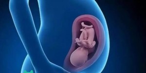 2022霍林郭勒有没有试管助孕生男孩的医院