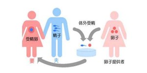 2023武汉方泰医院可以做供卵试管婴儿吗？需要什么条件？