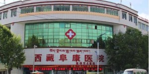 2022西藏三代试管婴儿医院排名？附试管助孕成功率排名？