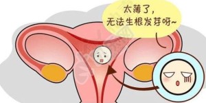 子宫内膜过薄试管成功案例 如何增厚子宫内膜？