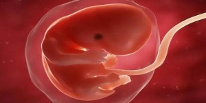移植胚胎不着床的原因有哪些？做试管不着床怎么办？