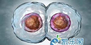 优质胚胎为何养囊失败?如何提高养囊率？