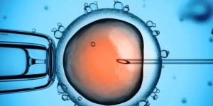 2023国内借卵三代试管助孕生子费用一览！