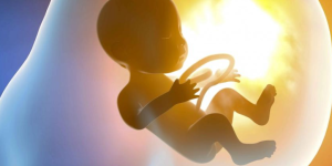 生育指南：排卵期小腹坠痛同房会怀孕吗？