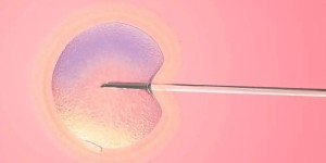 试管移植两个胚胎是双胞胎吗？移植两个胚胎就一定能生双胎吗？