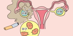 做试管婴儿前要怎么保养卵巢？