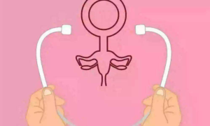 女生没有卵巢会有什么影响吗？该怎么保养？